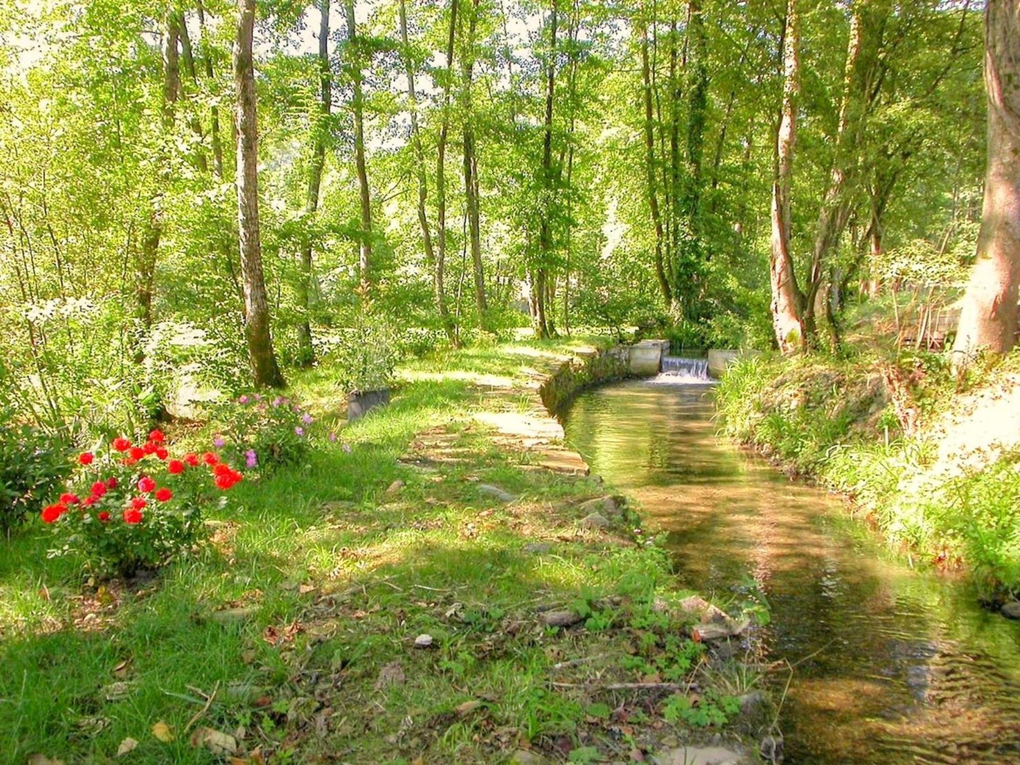 Moulin D'Eysus - Le Moulin Villa Dış mekan fotoğraf